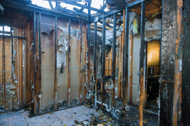 Professional Fire Damage Removal technician working in Rosemount, OH